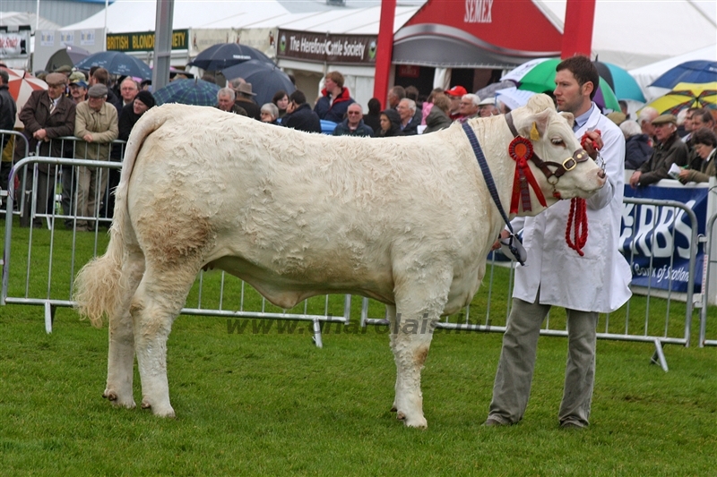WCC Nagy-Britannia 2012 - Helge